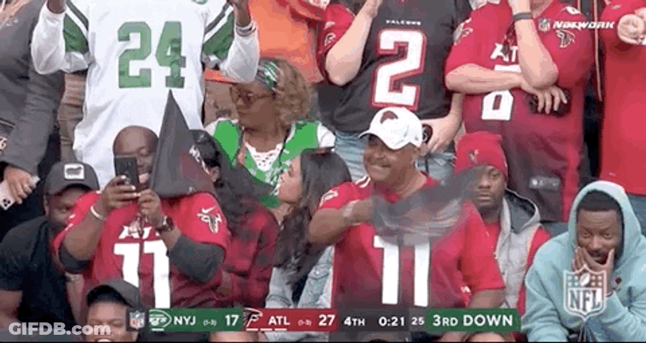 Atlanta Falcons Loved By Supporters GIF