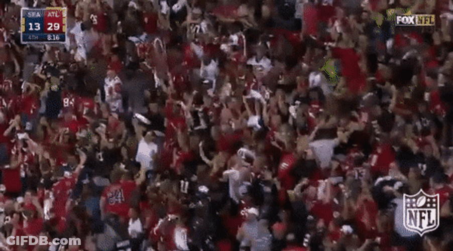 Atlanta Falcons Supporters Proud Of Team GIF