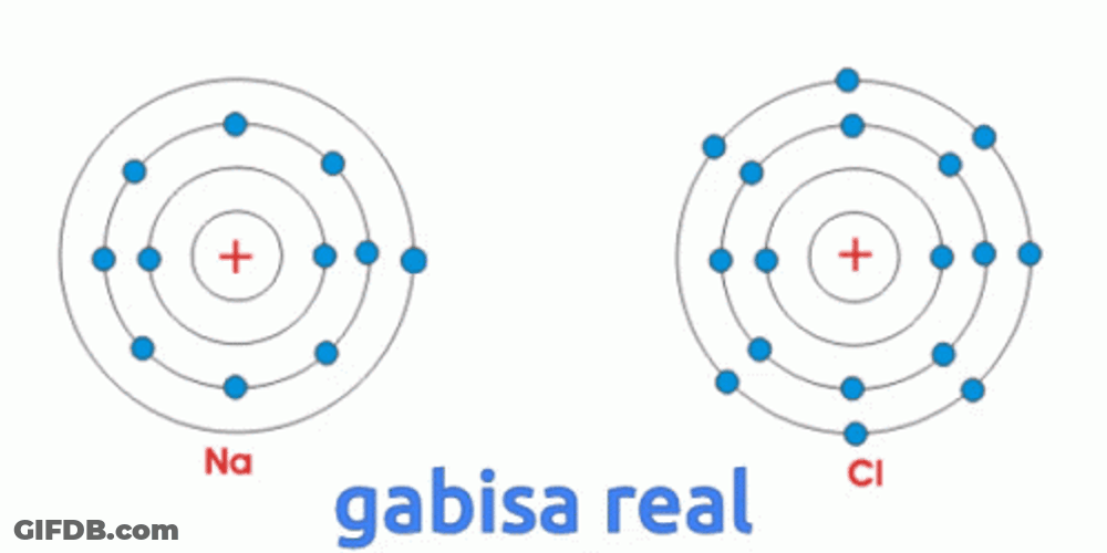 Atom Gabisa Real GIF
