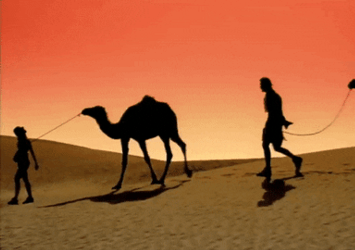 Atomic Bomb Detonation Camel Walking GIF