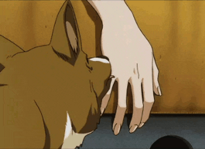 Atsumu Miya Dog Lick GIF