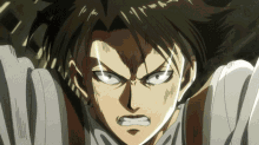 Attack On Titan Anime Character Levi GIF