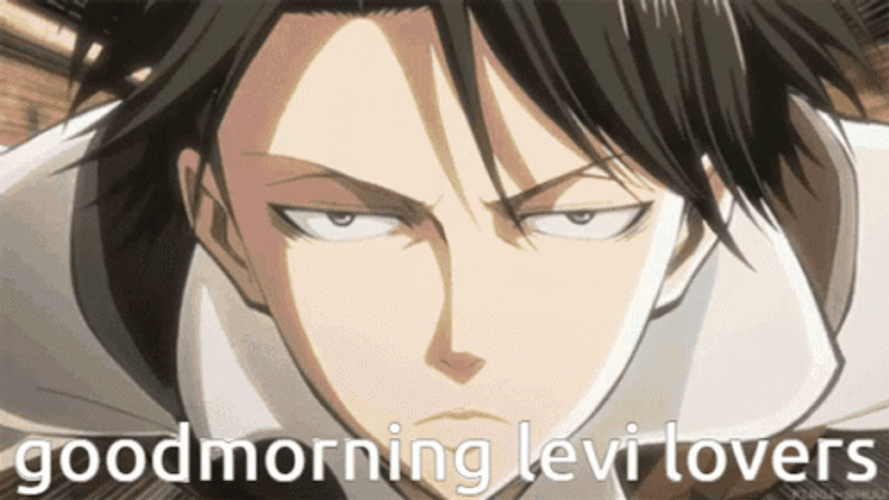 Attack On Titan Good Morning Levi Lovers GIF