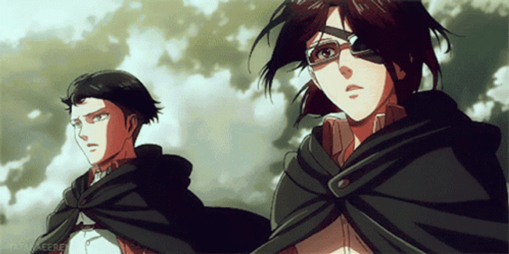 Attack On Titan Levi And Hange GIF