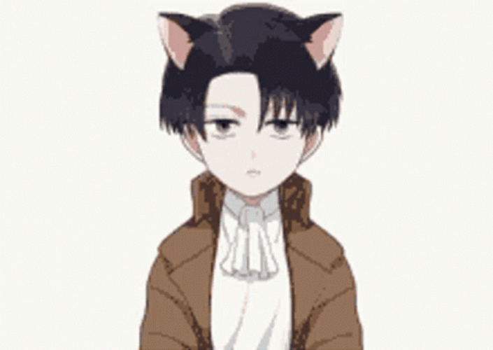 Attack On Titan Levi Cat GIF