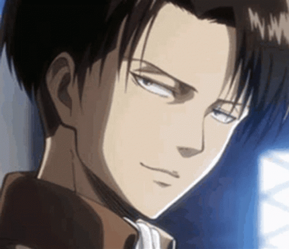 Attack On Titan Levi Deal With It GIF