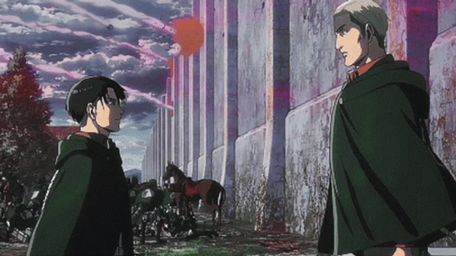 Attack On Titan Levi & Erwin GIF