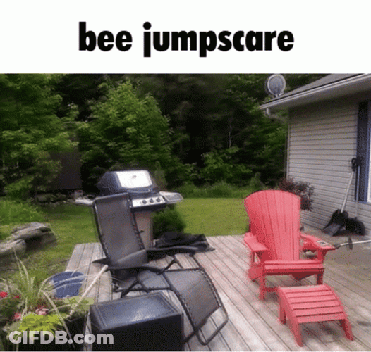 Attacked Buy A One Bee Meme GIF