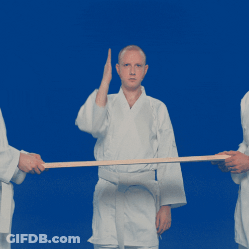 Attempting Judo Chop GIF