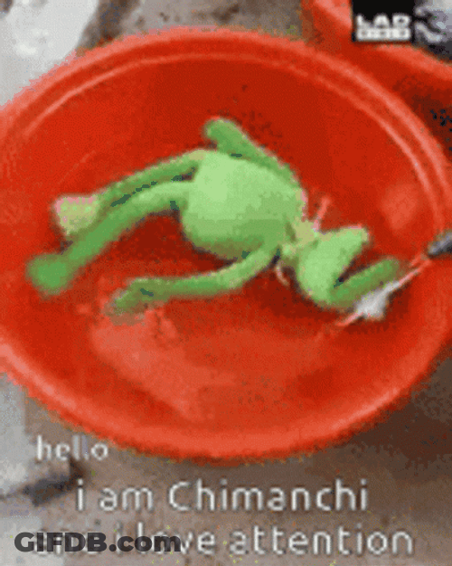 Attention GIF