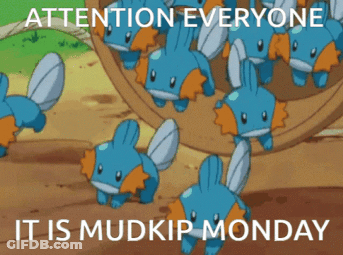 Attention Everyone It Is Mudkip Monday GIF