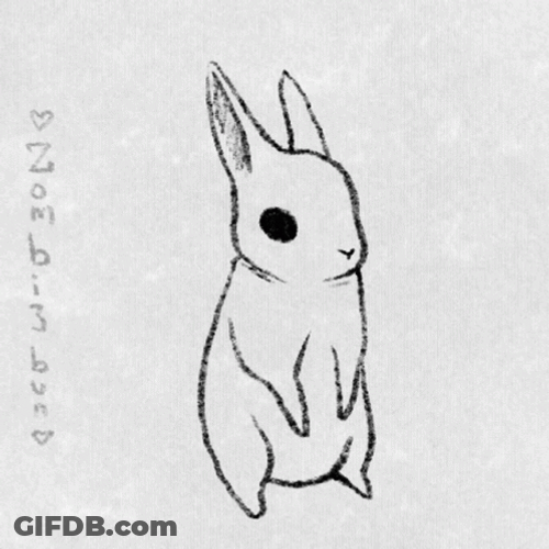 Attentive Bunnyt Flop GIF