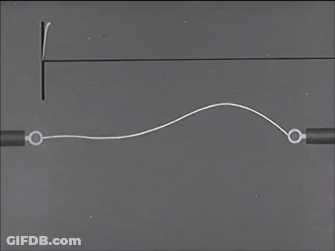 Audio Sound Wave Lines GIF