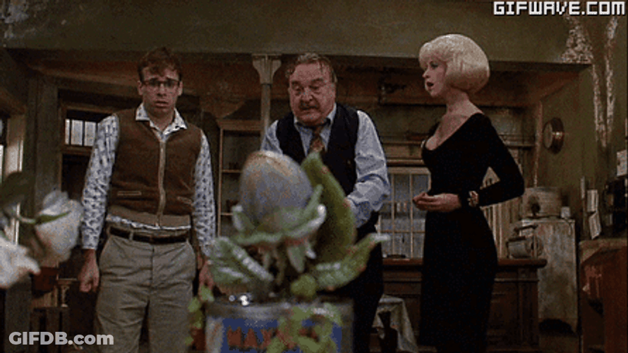 Audrey Exotic Plant Feed Me Seymour GIF
