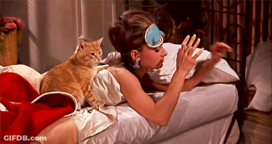 Audrey Hepburn Waking Up With Cat GIF