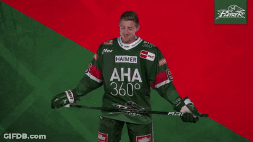 Augsburger Panther Elishockey GIF