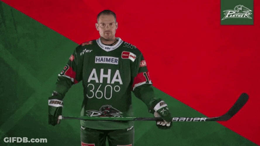 Augsburger Panther Full Down Ice Hockey GIF