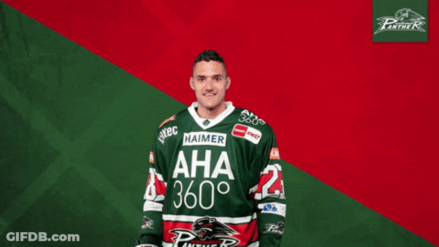 Augsburger Panther Ice Hockey Celebrate GIF