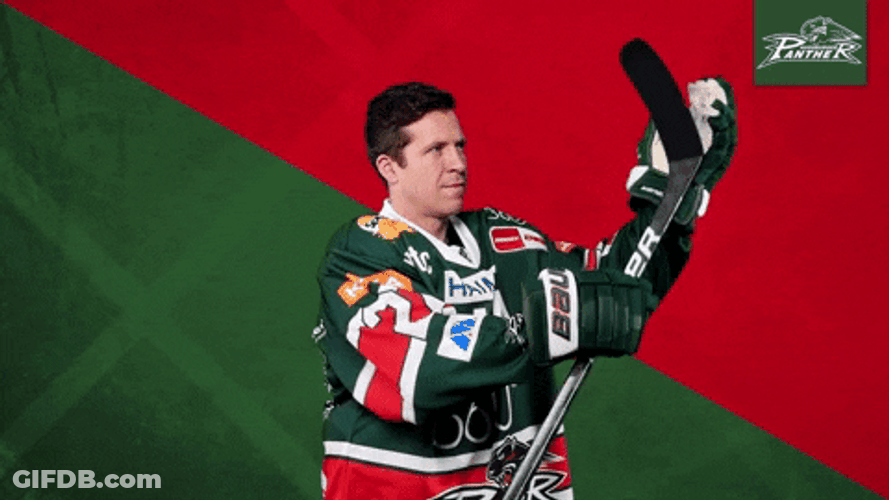 Augsburger Panther Ice Hockey Clapping GIF