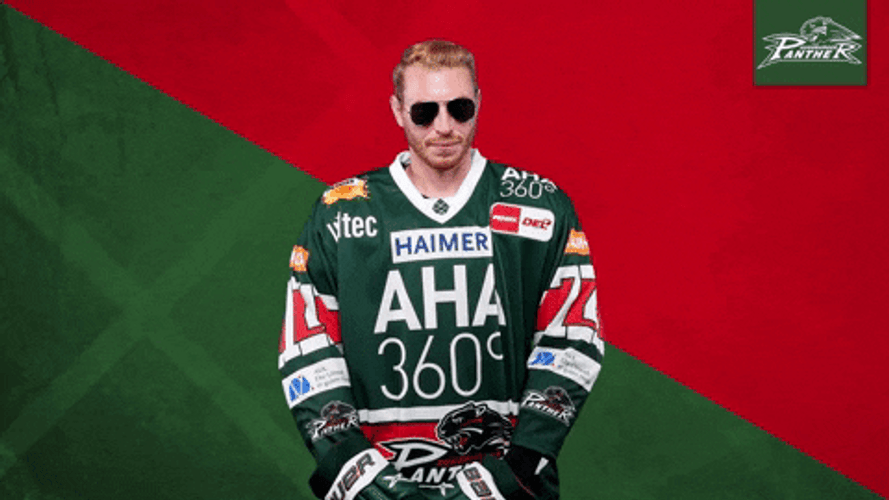Augsburger Panther Ice Hockey Eye Glasses GIF