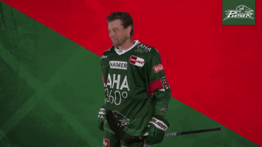 Augsburger Panther Ice Hockey Good Job GIF