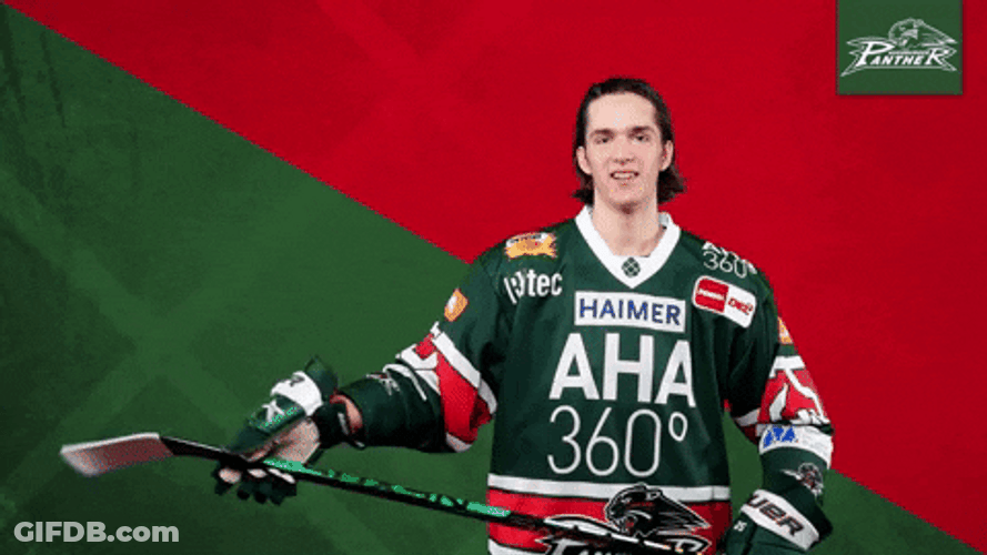 Augsburger Panther Rolling Ice Hockey GIF