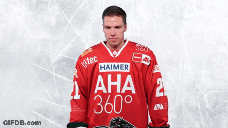 Augsburger Panther Shine Ice Hockey GIF