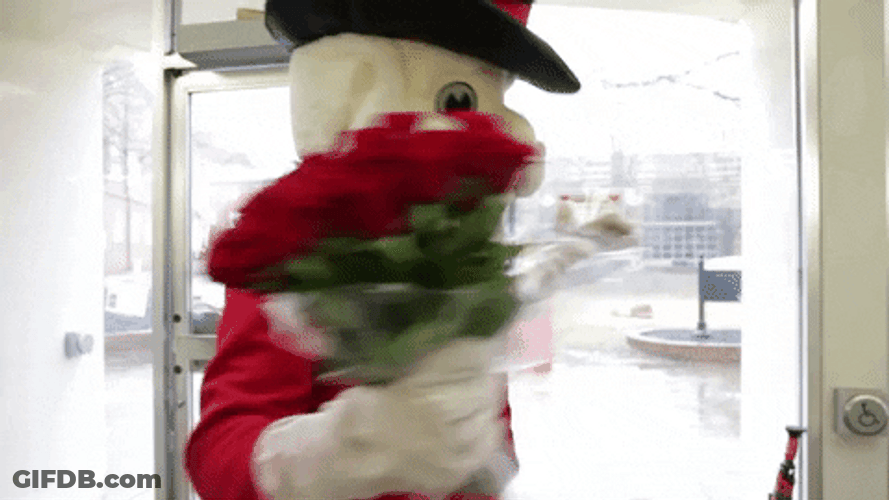 Austin Hays Mascot Man GIF