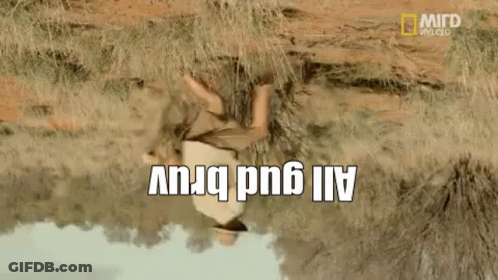 Australia Austrlain GIF
