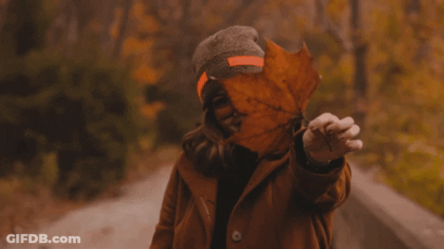 Autum Dried Leaf GIF