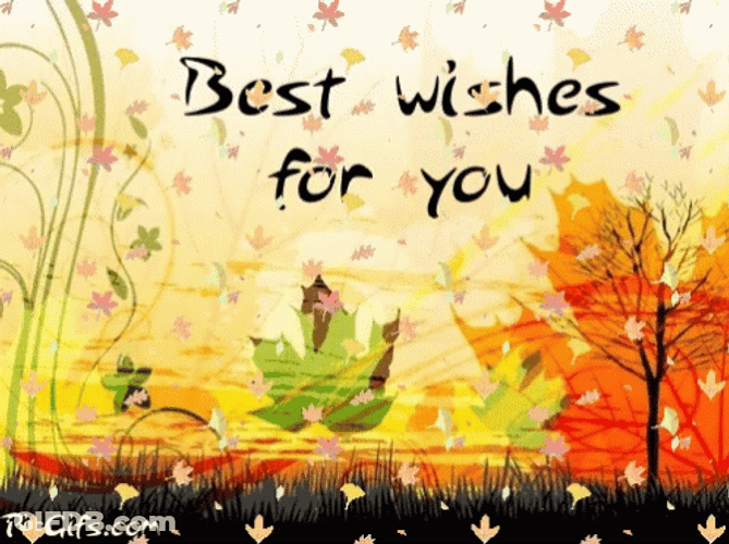 Autumn Best Wishes For You GIF