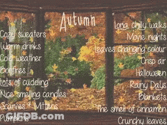 Autumn Collage Cozy Sweaters Warm Drinks Bonfires Cuddling GIF