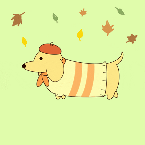 Autumn Dachshund Dog GIF
