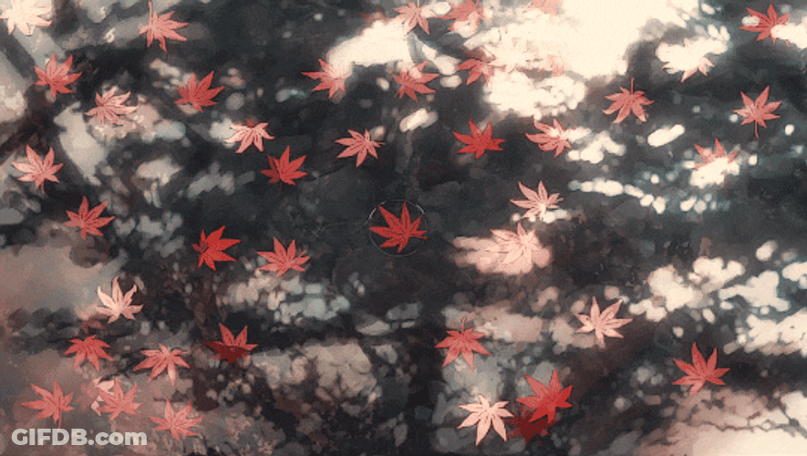 Autumn Fall Leaves In The Water GIF