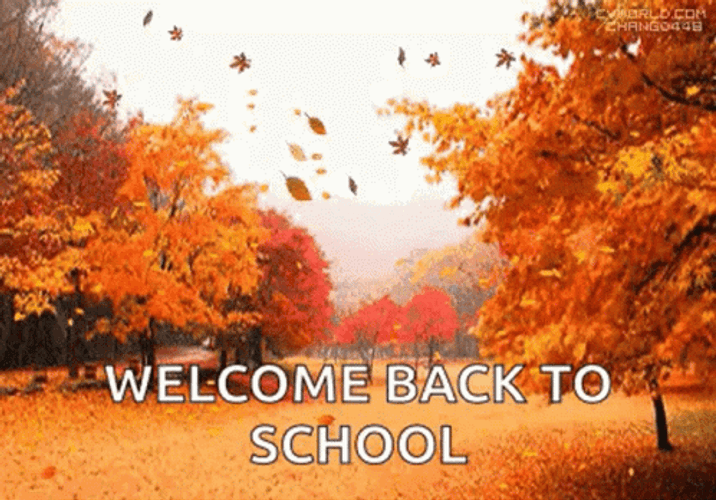 Autumn Falls Welcome Back To School GIF