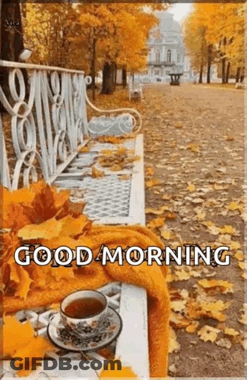 Autumn GIF