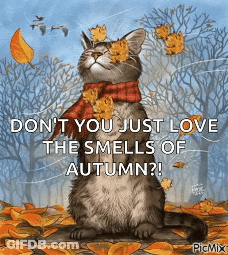 Autumn GIF