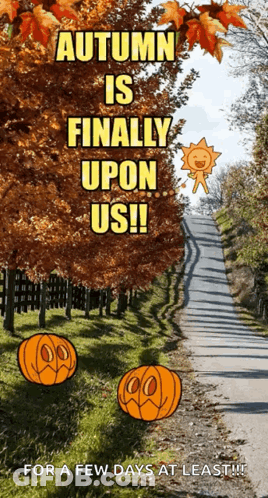 Autumn Is Finally Upon Us For A Few Days At Least !! GIF