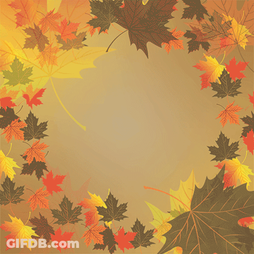 Autumn Is Here Is Written On A Brown Background GIF