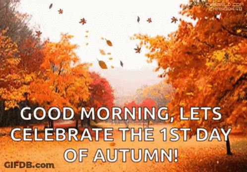 Autumn Leaves Are Falling From The Trees In A Park . GIF