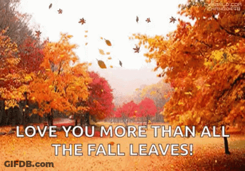 Autumn Leaves Are Falling From The Trees In A Park GIF