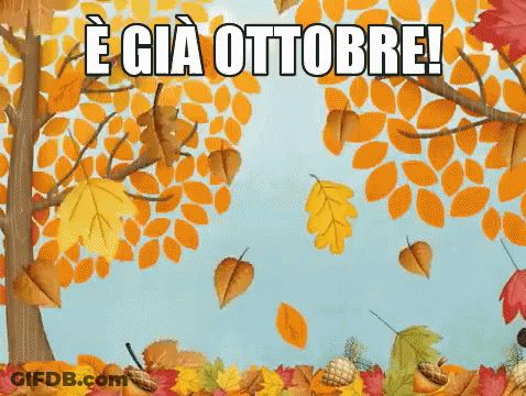 Autumn Leaves Falling E Gia Ottobre GIF