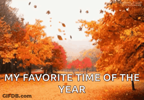 Autumn Leaves Falling From Trees In A Park With The Words " My Favorite Time Of The Year " GIF