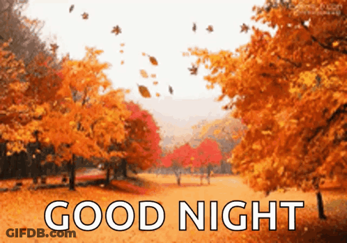 Autumn Leaves Falling Good Night GIF