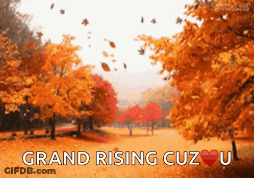 Autumn Leaves Falling Grand Rising Cuz U GIF
