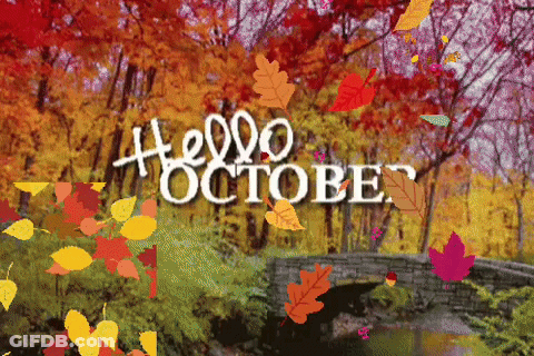 Autumn Leaves Falling In Front Of Bridge Saying Hello October GIF