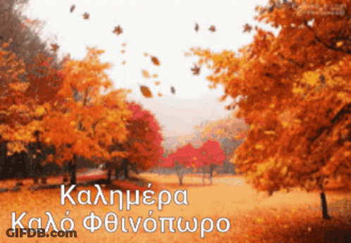 Autumn Leaves Falling In Park GIF