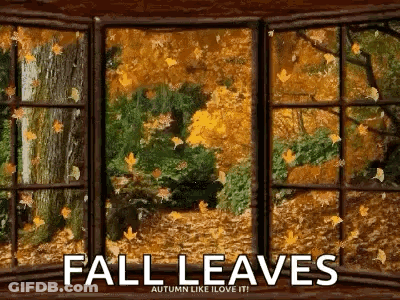 Autumn Leaves Falling Out A Window Saying Fall Leaves Autumn Like I Love It GIF