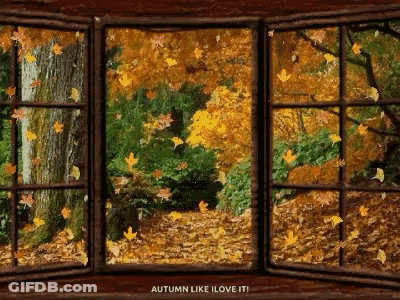 Autumn Leaves Falling With I Love It GIF