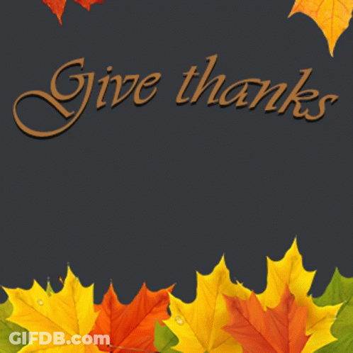 Autumn Leaves Give Thanks On Dark Background GIF
